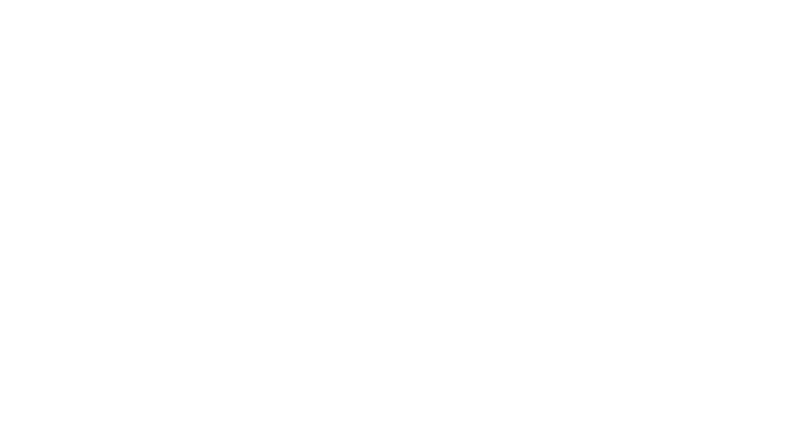 Logo Bolado